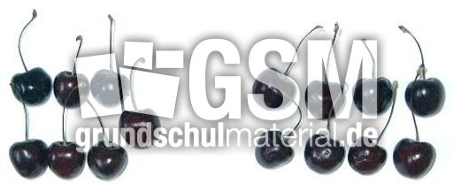 Kirschen7+8.jpg